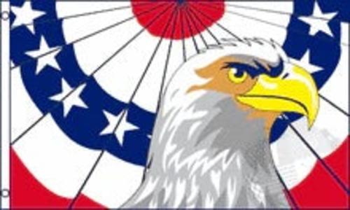 Large 3'x5' Patriotic Eagle Polyester Flag for UTV, ATV, Sandrail & RV Free Shipping Factory Outlet