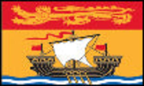 New Brunswick - 3'x5' only Cheap Pirce