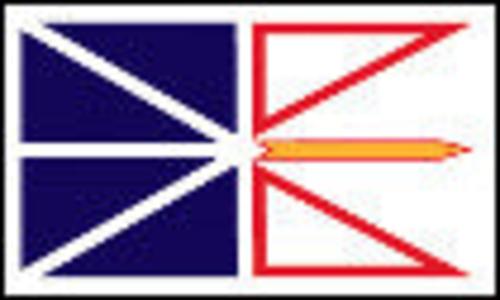 Newfoundland- 3'x5' only Buy Cheap Very Cheap