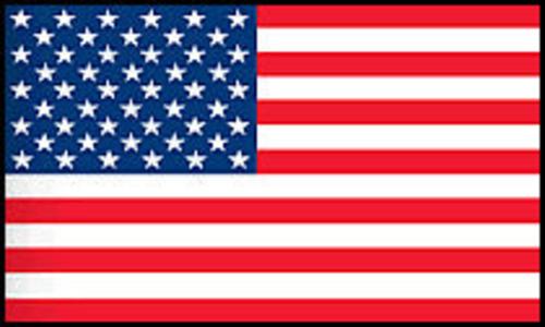 Nylon U.S. Flag - Various Sizes Cheap Pice Free Shipping