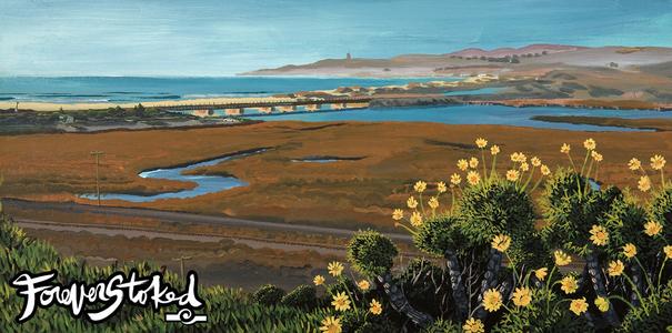 Coreopsis - 11x14 Free Shipping Low Shipping