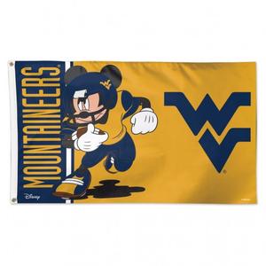 MICKEY 3X5 POLE FLAG In China Cheap Pice