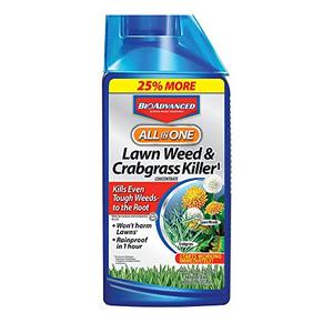 BioAdvanced All-In-One Lawn Weed and Crabgrass Killer I, Concentrate, 40 oz 100% Original Sale Online