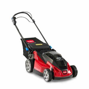 Toro 60V MAX* 21 in. (53 cm) Stripe Self-Propelled Mower - 5.0Ah Battery/Charger Included 21620 Wholesale Pice Cheap Pice