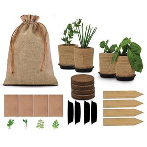 Herb Garden Kit Indoor Garden Planting Set w/4 Herb Seeds DIY Veggie Growing Kit Limited Edition Cheap Pice