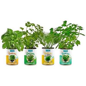 'Back to the Roots' Organic Herb Garden-in-a-Can Low Pice Fee Shipping Sale Online