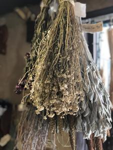 Achillea - (White Yarrow) Sale Cheap Online