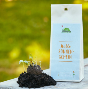 "Hallo Sonnenschein" Seedbombs Discount Official Site