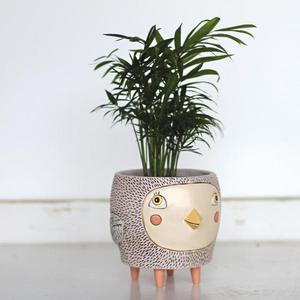 Bye Bye Birdie Planter - Large Discount Latest