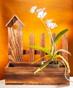 Wooden pot stand 2025 Unisex Online