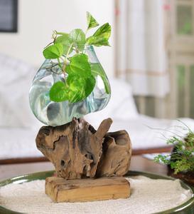 Wood and glass plant dcor JKID-1 Choice Cheap Pice