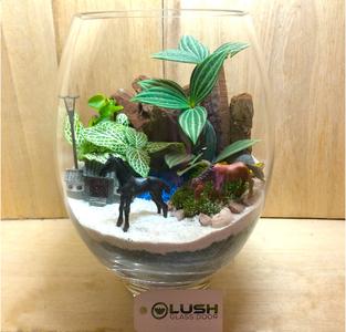 Auspicious Horsie Scenic Tropical Plants Terrarium Sale Shop