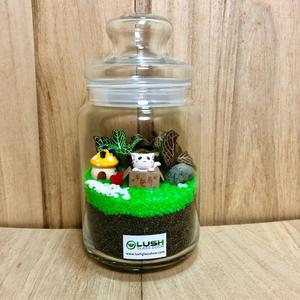 Ashlyn Fittonia Story Jar Terrarium Lowest Pice Cheap Pice