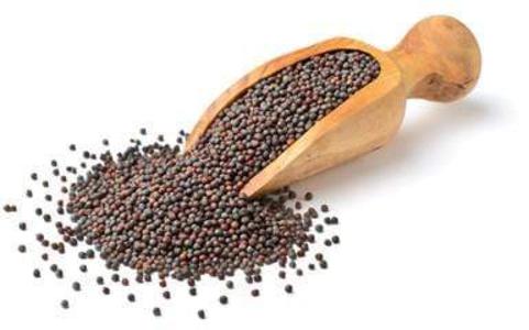 Mustard Seeds Big With Paypal For Sale