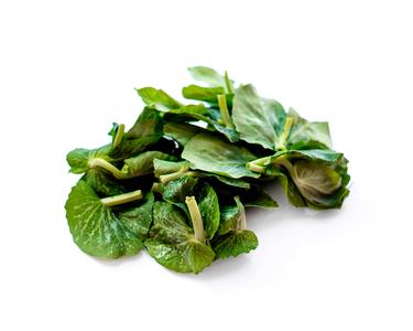 Pea Tips Cheap Sale Outlet
